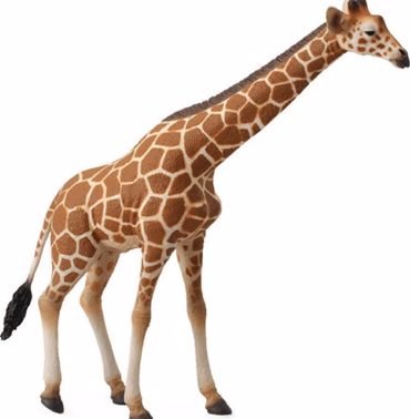 ΚΑΜΗΛΟΠΑΡΔΑΛΗ 14.5εκ