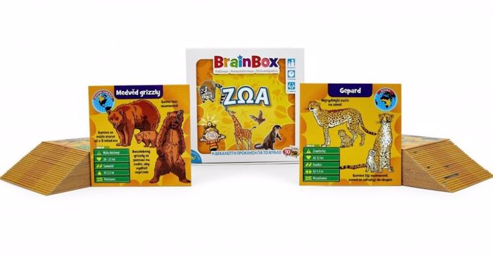 BRAINBOX ZOA