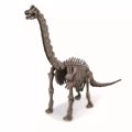 4M TOYS ANASKAFI BRAXIOSAuROS