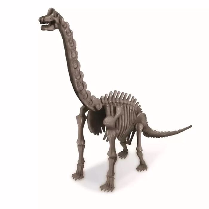 4M TOYS ANASKAFI BRAXIOSAuROS