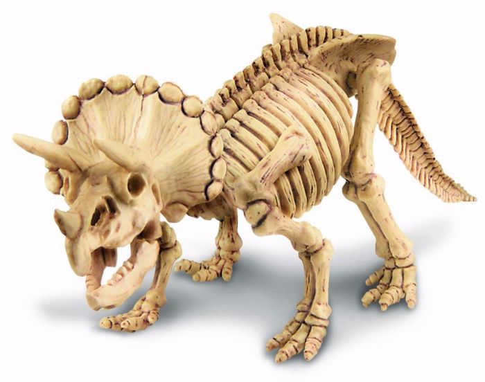 4M TOYS ANASKAFI TRIKERATOPs