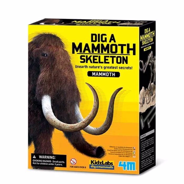 4M TOYS ANASKAFI MAMOuTh