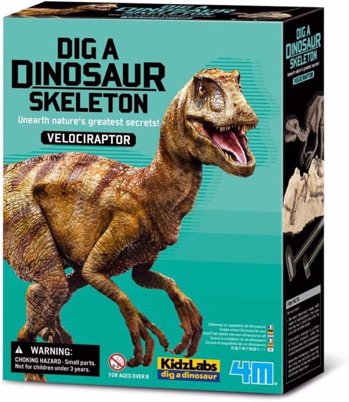 4M TOYS ANASKAFI BELOSIRAPTORAS