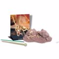 4M TOYS ANASKAFI BELOSIRAPTORAS