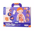 MIEREDU MAGITIKO PUZZLE HUMAN ANATOMY 44tmx.