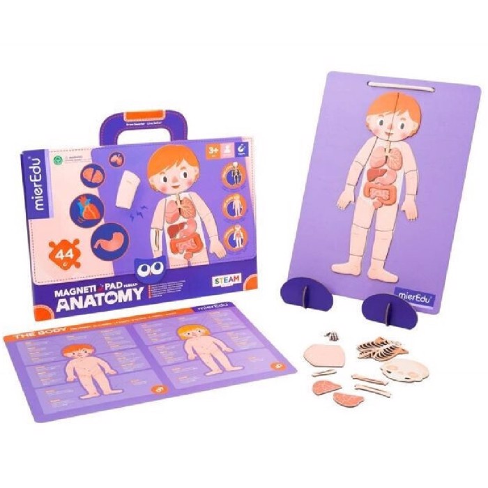 MIEREDU MAGITIKO PUZZLE HUMAN ANATOMY 44tmx.