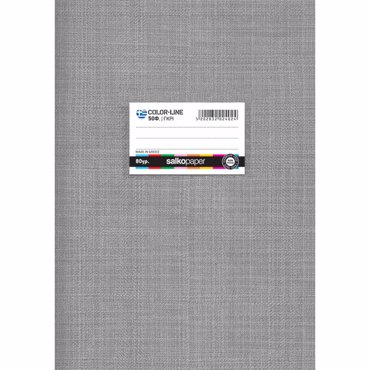 SALKO ΤΕΤΡΑΔΙΟ ΚΑΡΦΙΤΣΑ 40φ 21Χ29 ΓΚΡΙ COLOROLINE