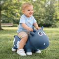 KIDZZ FARM PAIDIKO KAThISMATAKI-TRAMPOLINO AGLADITSA- MPLE GRI