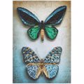 DIAMOND DOTZ  ANTIQUE BUTTERFLIES