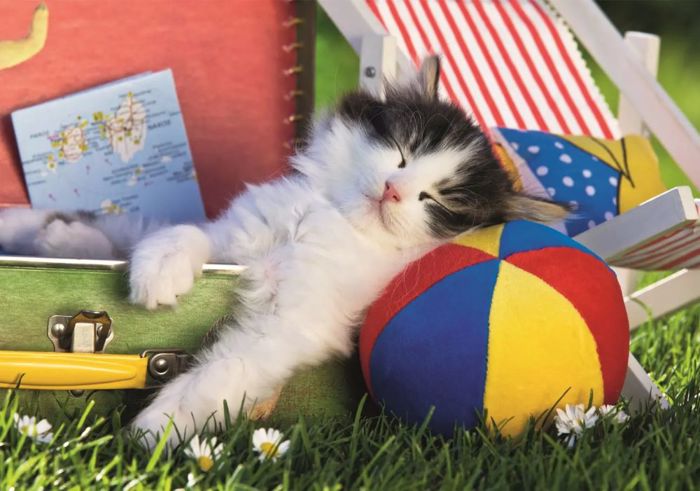 DINO PUZZLE KITTEN 100XL