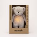 GRAY NATUR-THE ORGANIC HUMMING BEAR WITH LAMP