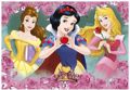 DINO PUZZLE PRINCESSES 2*77TEM