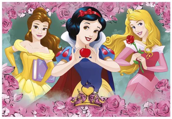 DINO PUZZLE PRINCESSES 2*77TEM