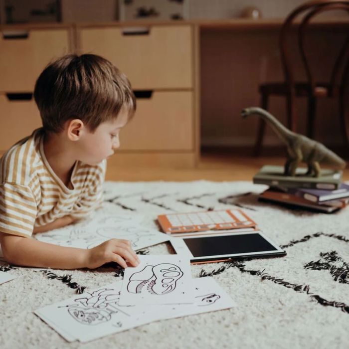 KIDYWOLF MINI TABLET ZOGAFIKIS ME 30 KARTES- DINOSAURS