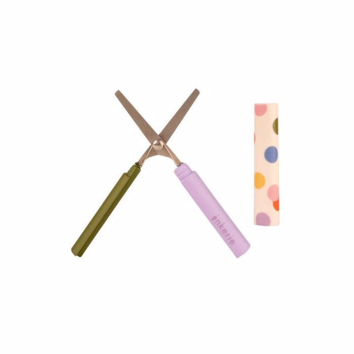 KIKKERLAND PsALIDI TAXIDIOu