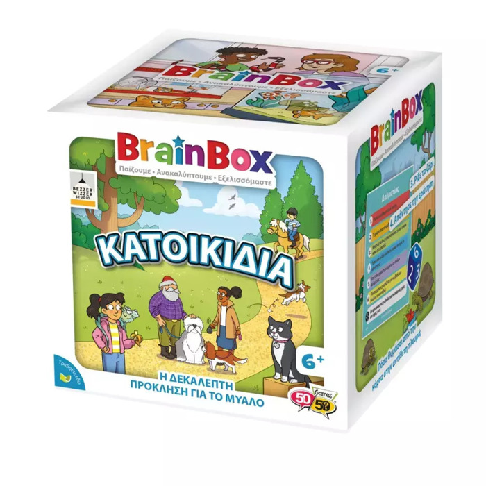 BRAINBOX KATOIKIDIA