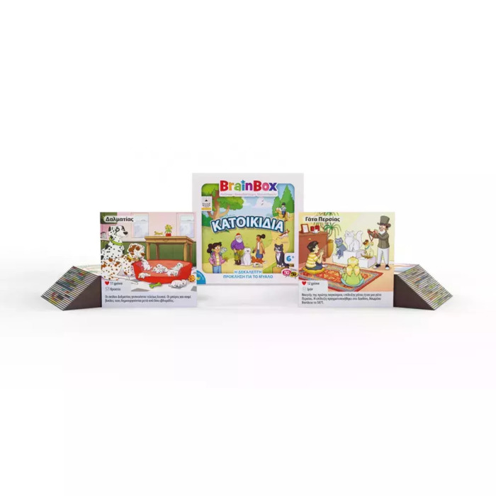 BRAINBOX KATOIKIDIA