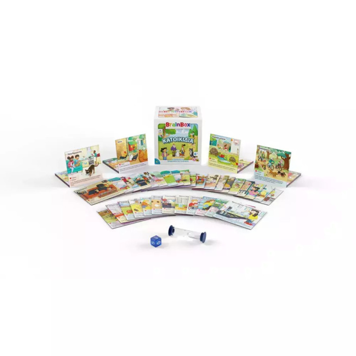 BRAINBOX KATOIKIDIA