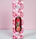 LIFELIKES LAMPADA PLAKE SE KOuTI- STRAWBERRY DREAMS