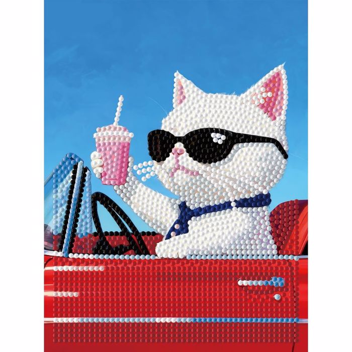 DIAMOND DOTZ CONVERTIBLE CAT ME KORNIZA  20*15CM