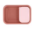 TUTETE FAGTODOXEIO BENTO MOUSE FAIRIES