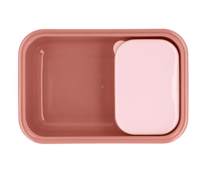 TUTETE FAGTODOXEIO BENTO MOUSE FAIRIES