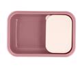 TUTETE FAGTODOXEIO BENTO BLOSSOM BIRDS