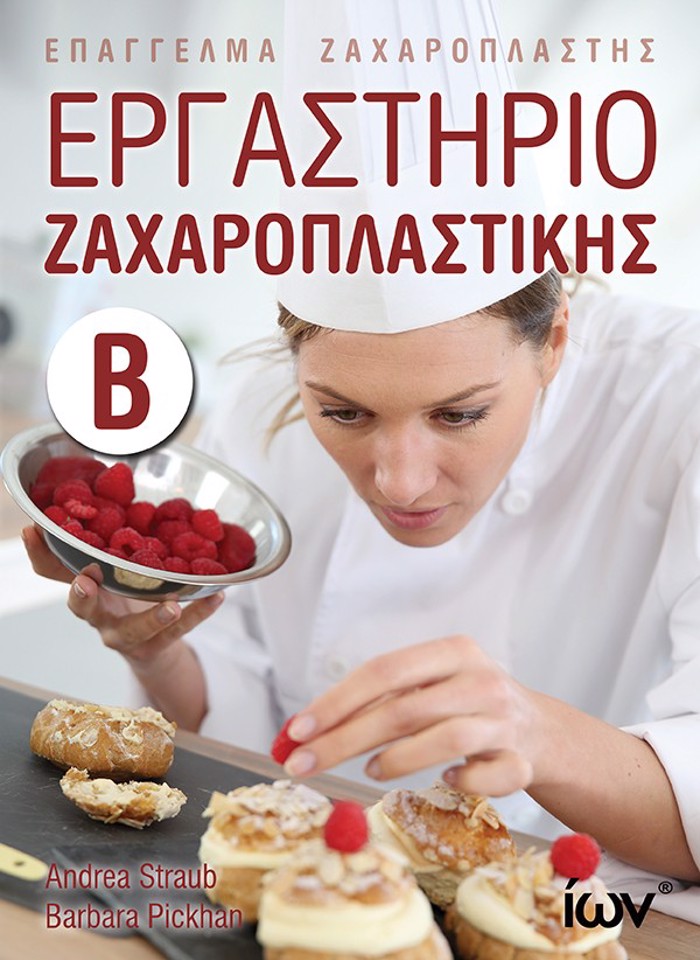 ERGSTIRIO ZAXAROPLASTIKIS B’