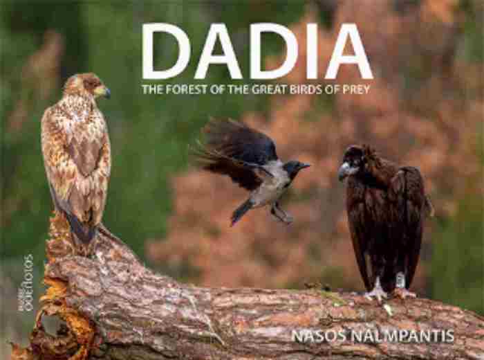 DADIA : THE FOREST OF THE GREAT BIRDS OF PRAY