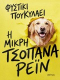 I MIKRI TSOPANA REIN